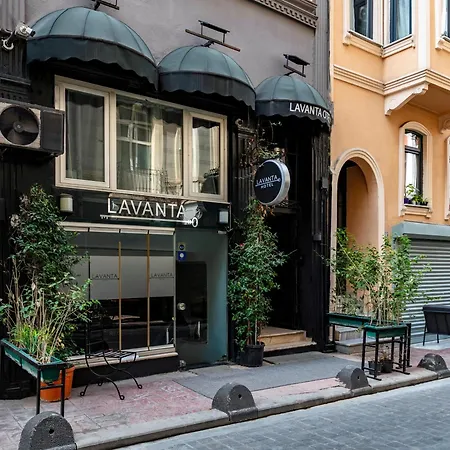 Lavanta Istanboel