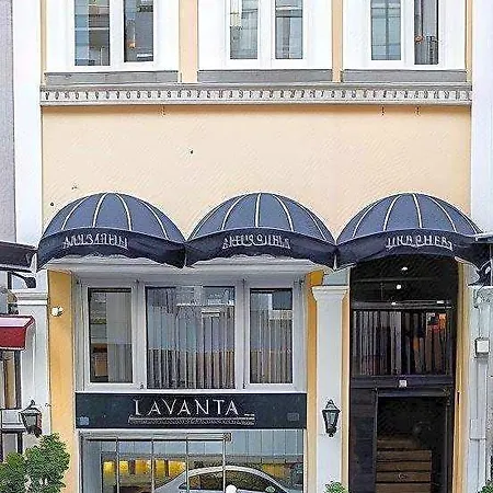 Lavanta Estambul