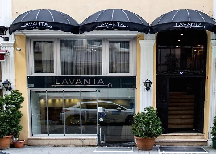 Lavanta Istanbul