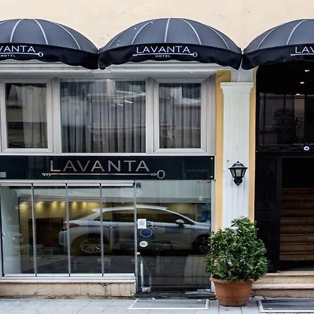 Lavanta Istanbulská provincie