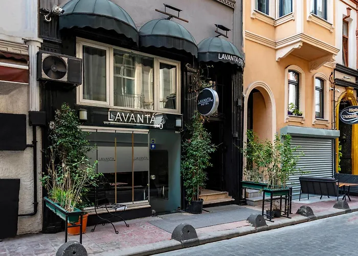 Lavanta Istanbulská provincie